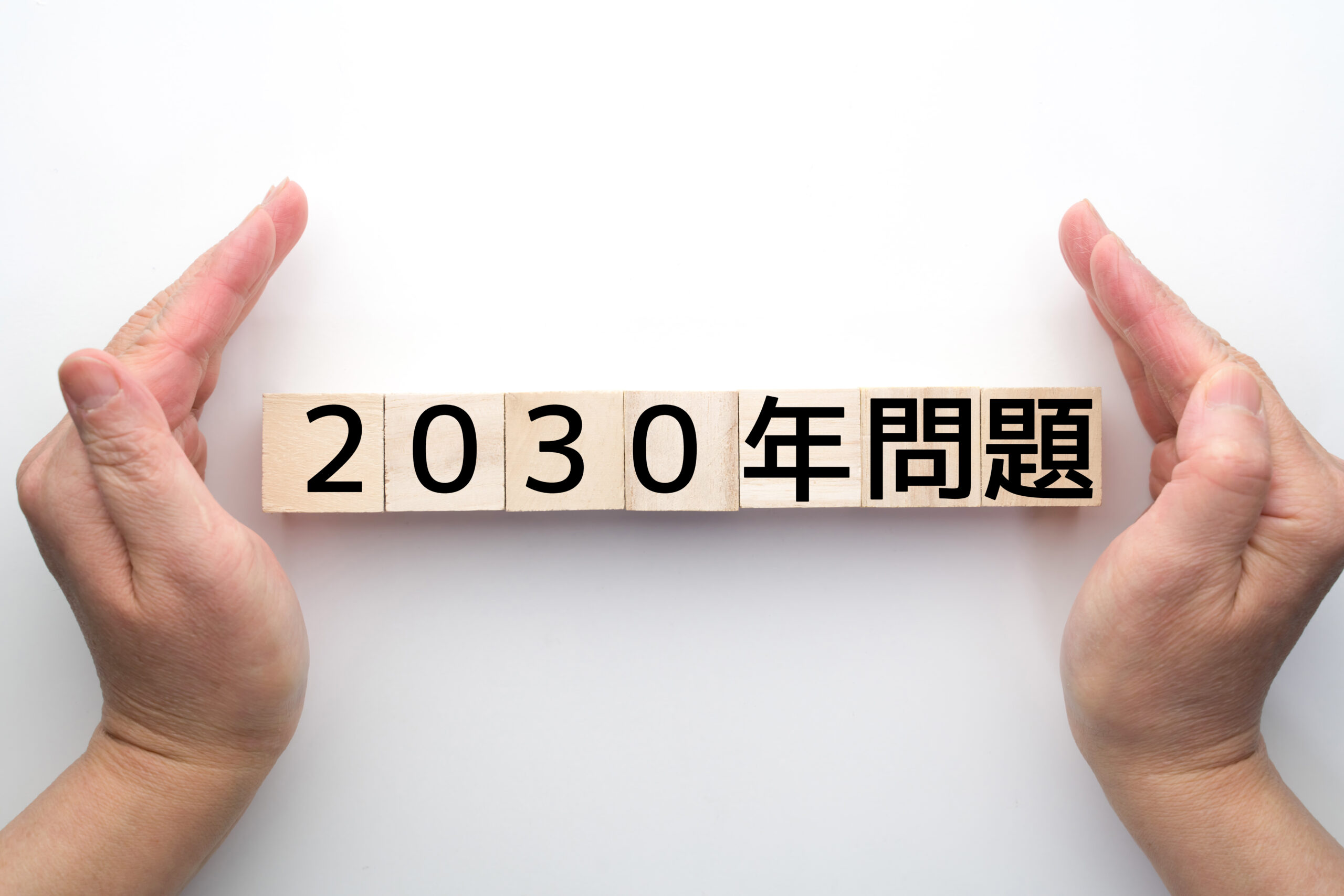 2030年問題 日本企業への影響は？